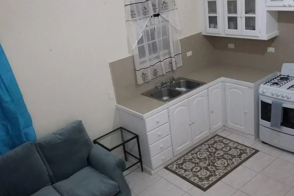 Gibbons Boggs Apartment Christ Church
